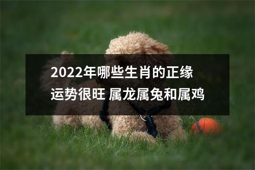2025年哪些生肖的正缘运势很旺属龙属兔和属鸡