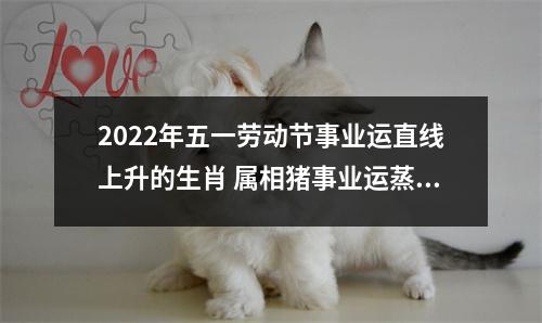 2025年五一劳动节事业运直线上升的生肖属相猪事业运蒸蒸日上