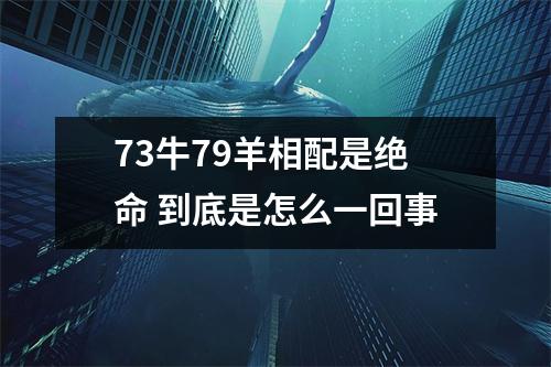 73牛79羊相配是绝命到底是怎么一回事