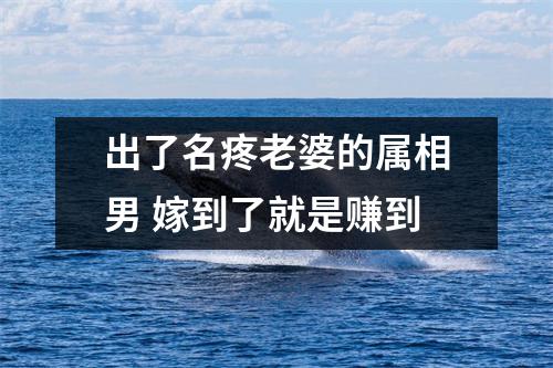 出了名疼老婆的属相男嫁到了就是赚到