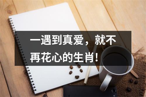 一遇到真爱，就不再花心的生肖!