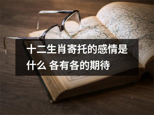 十二生肖寄托的感情是什么各有各的期待