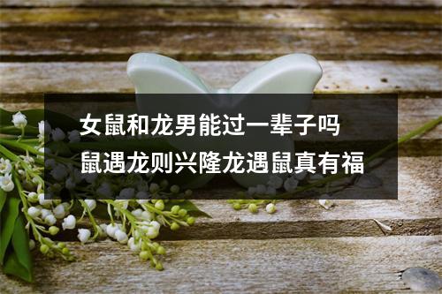 女鼠和龙男能过一辈子吗鼠遇龙则兴隆龙遇鼠真有福