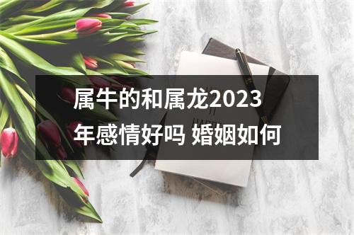 属牛的和属龙2025年感情好吗婚姻如何