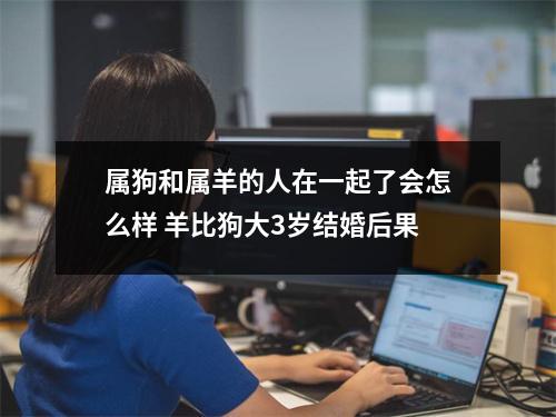 属狗和属羊的人在一起了会怎么样羊比狗大3岁结婚后果
