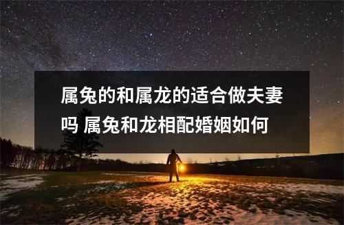 属兔的和属龙的适合做夫妻吗属兔和龙相配婚姻如何