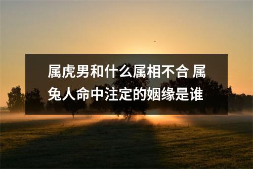 属虎男和什么属相不合属兔人命中注定的姻缘是谁