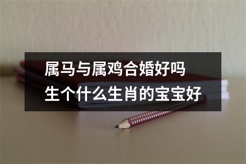 属马与属鸡合婚好吗生个什么生肖的宝宝好
