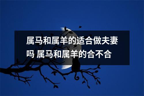 属马和属羊的适合做夫妻吗属马和属羊的合不合