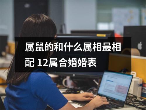 属鼠的和什么属相相配12属合婚婚表