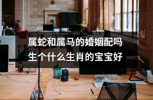 属蛇和属马的婚姻配吗生个什么生肖的宝宝好
