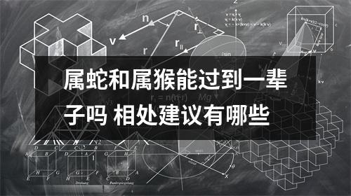 属蛇和属猴能过到一辈子吗相处建议有哪些