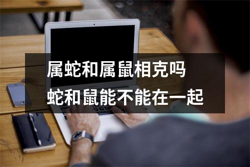 属蛇和属鼠相克吗蛇和鼠能不能在一起