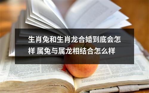 生肖兔和生肖龙合婚到底会怎样属兔与属龙相结合怎么样