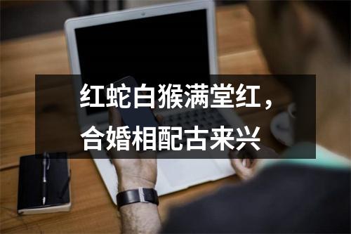 红蛇白猴满堂红，合婚相配古来兴