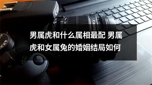 男属虎和什么属相配男属虎和女属兔的婚姻结局如何