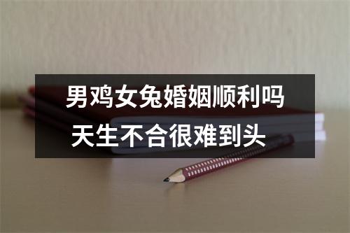 男鸡女兔婚姻顺利吗天生不合很难到头