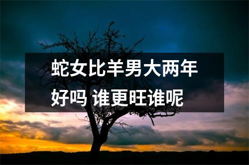 蛇女比羊男大两年好吗谁更旺谁呢