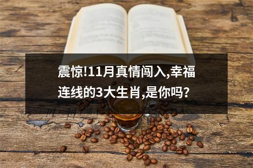 震惊!11月真情闯入,幸福连线的3大生肖,是你吗？