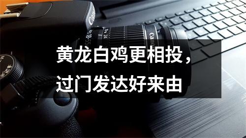 黄龙白鸡更相投，过门发达好来由