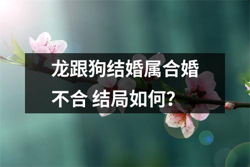龙跟狗结婚属合婚不合结局如何？