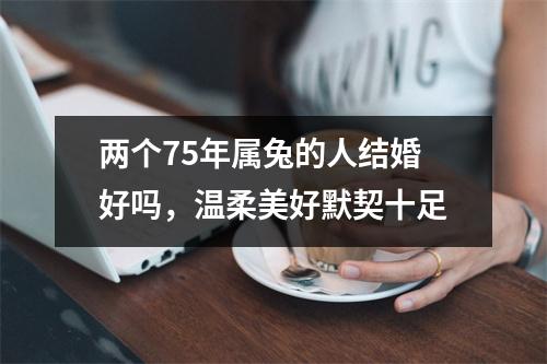 两个75年属兔的人结婚好吗，温柔美好默契十足