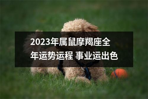 2025年属鼠摩羯座全年运势运程事业运出色