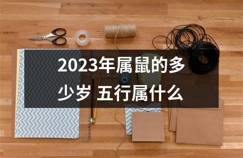 2025年属鼠的多少岁五行属什么