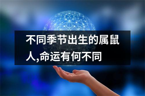 不同季节出生的属鼠人,命运有何不同
