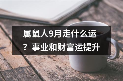 属鼠人9月走什么运？事业和财富运提升