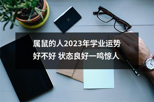 属鼠的人2025年学业运势好不好状态良好一鸣惊人
