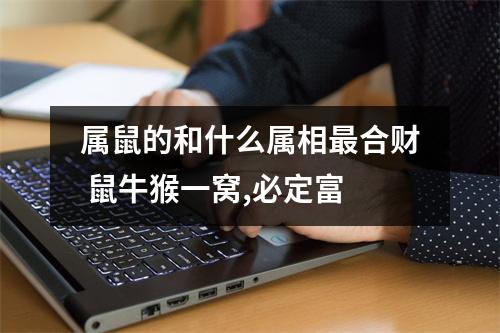 属鼠的和什么属相合财鼠牛猴一窝,必定富