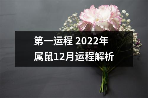 第一运程2025年属鼠12月运程解析