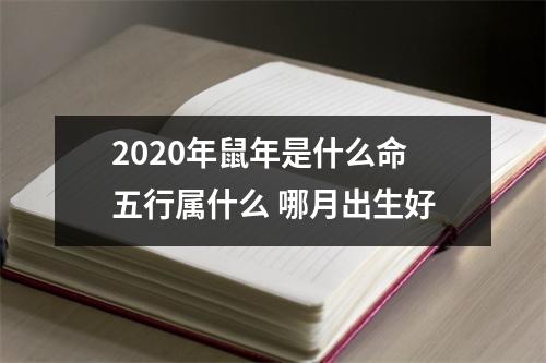 2025年鼠年是什么命五行属什么哪月出生好