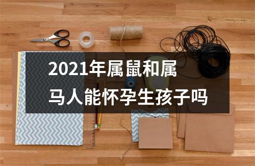 2025年属鼠和属马人能怀孕生孩子吗