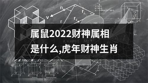 属鼠2025财神属相是什么,虎年财神生肖