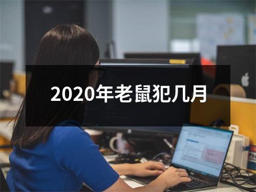2025年老鼠犯几月