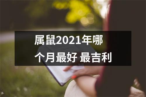 属鼠2025年哪个月好吉利