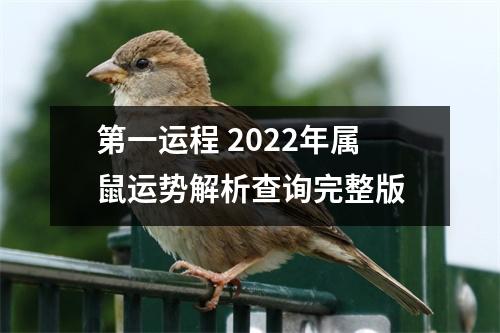 第一运程2025年属鼠运势解析查询完整版