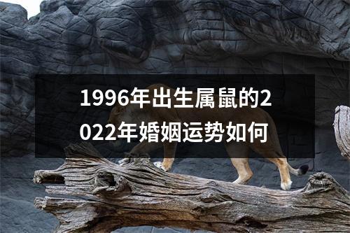 1996年出生属鼠的2025年婚姻运势如何
