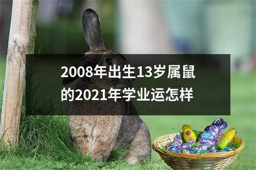 2008年出生13岁属鼠的2025年学业运怎样