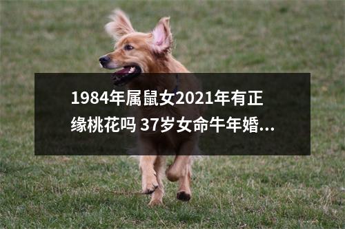1984年属鼠女2025年有正缘桃花吗37岁女命牛年婚姻运