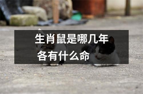 生肖鼠是哪几年各有什么命