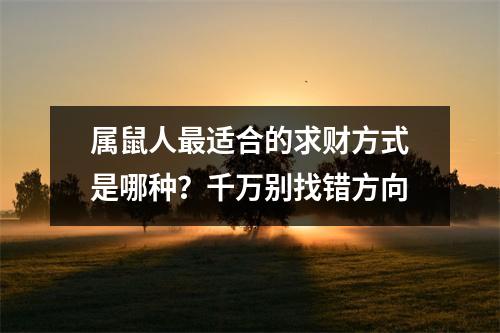 属鼠人适合的求财方式是哪种？千万别找错方向