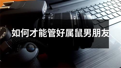 如何才能管好属鼠男朋友