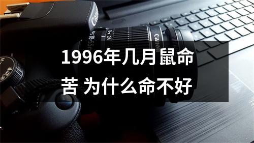 1996年几月鼠命苦为什么命不好