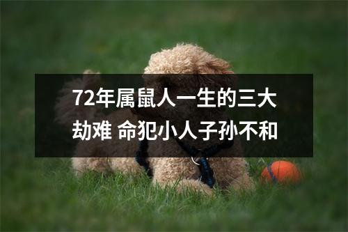 72年属鼠人一生的三大劫难命犯小人子孙不和