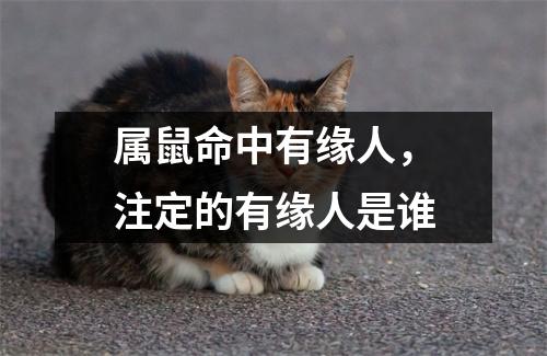 属鼠命中有缘人，注定的有缘人是谁