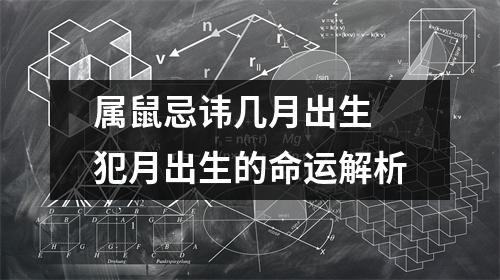 属鼠忌讳几月出生犯月出生的命运解析