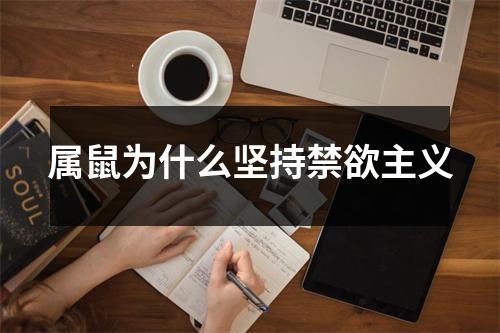 属鼠为什么坚持禁欲主义